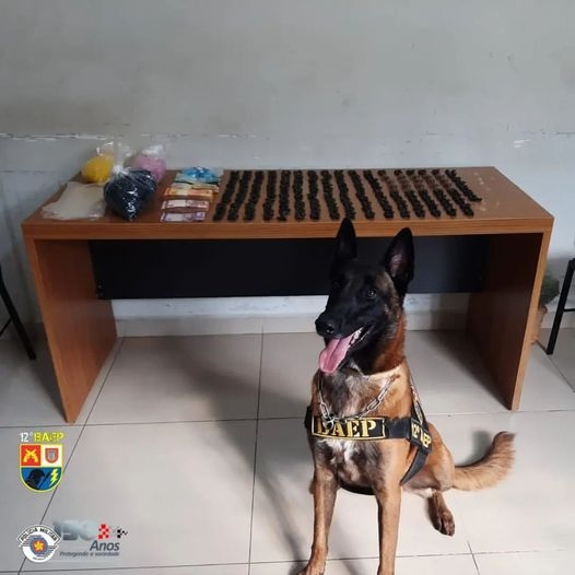 Em Araçatuba Tático Comando e BAEP prenderam 01 traficante com 502 pinos de cocaína e R$ 4.980,00 reais