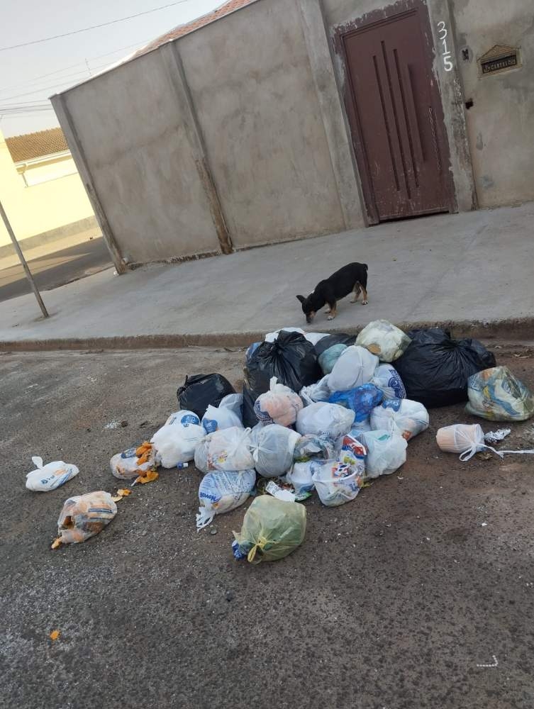 Falta de frequência no horário da coleta de lixo causa transtornos em Andradina