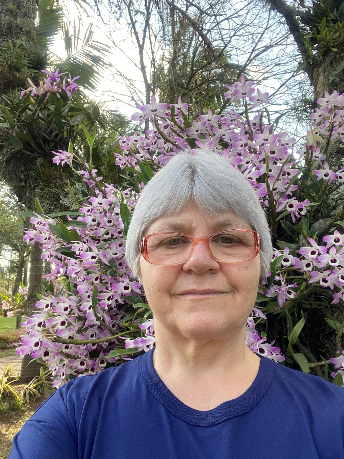 Irmã Iara Poffo é a nova representante da Pastoral da Saúde do Hospital de Três Lagoas