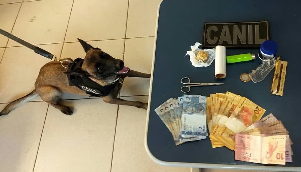 Polícia Militar prende traficante de drogas com empenho do Canil setorial em Três Lagoas