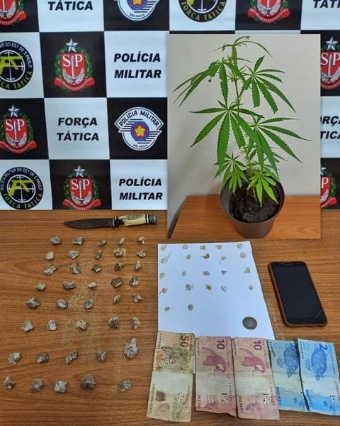 Força Tática de Araçatuba prendeu 02 traficantes com 40 porções de maconha, 22 pedras de crack, 01 pé de maconha e dinheiro no bairro Nossa Senhora Aparecida