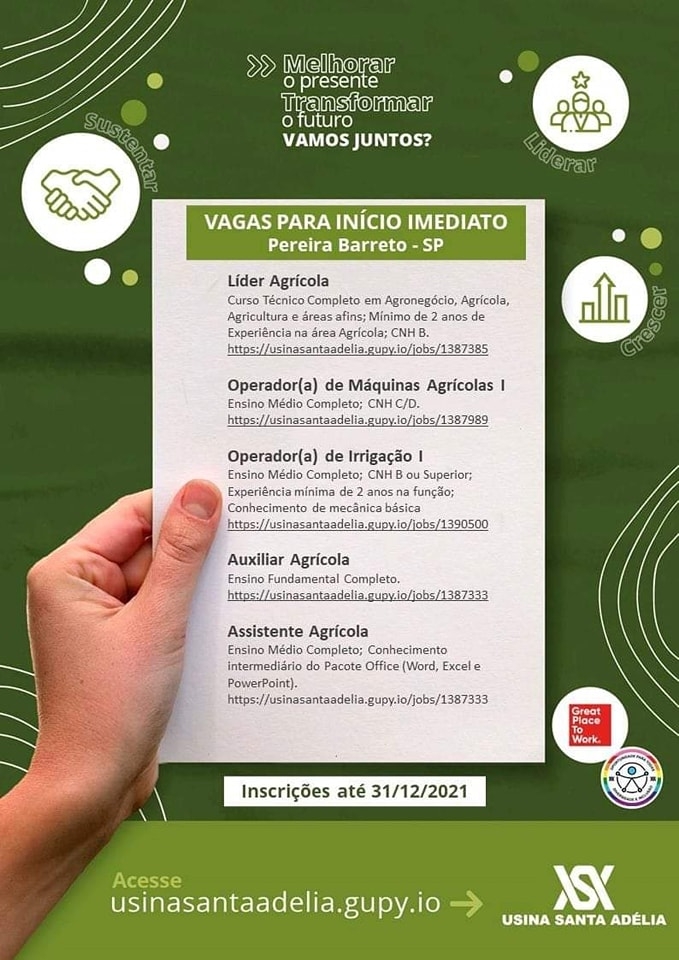 A Usina Santa Adélia está com novas oportunidades para cidade de Pereira Barreto (SP)
