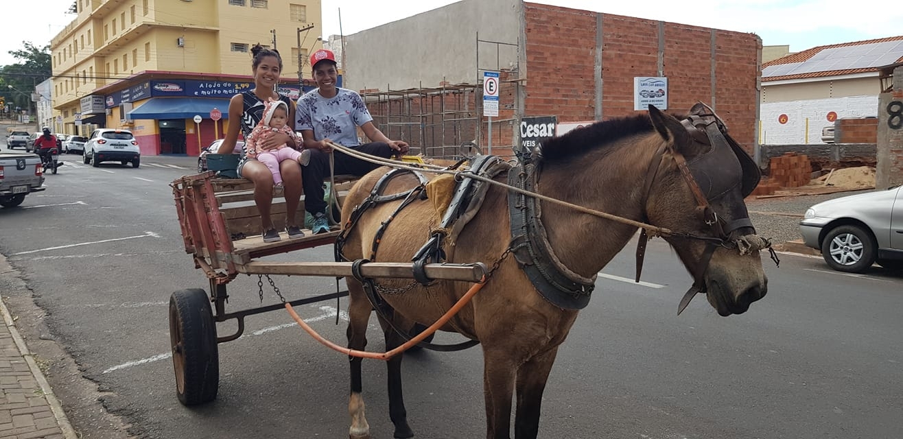 EM ANDRADINA FAMÍLIA VAI À FEIRA DE CARROÇA.