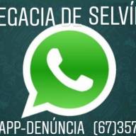 Delegacia de Polícia Civil de Selvíria cria canal de denúncias