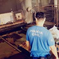 DISE de Andradina incinera 70 quilos de drogas