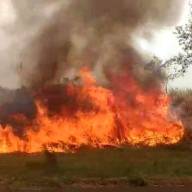 Fogo atinge margens da Rodovia General Figueiredo em Tupi Paulista