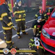 TREINAMENTOS E INSTRUÇÕES DE ROTINA DA ESTAÇÃO DE BOMBEIROS DE ILHA SOLTEIRA