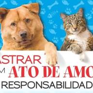 Pereira Barreto inicia programa de castração animal