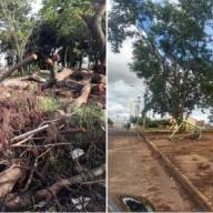 Em Andradina Fabrício Mazotti agradece administração municipal por limpeza de área no Quinta dos Castanheiras
