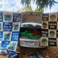 PM e PC de Selviria prenderam 04 indivíduos por tráfico de drogas com aproximadamente 300 kg de maconha