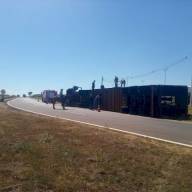 Caminhão com 60 vacas capota em frente ao CDP de Nova Independência. Motorista socorrido ao UPA de Andradina