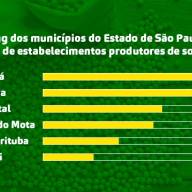 Riquezas do agronegócio: Birigui ocupa 6ª posição em ranking estadual de produtores de soja