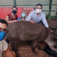 Animal silvestre ferido está sendo cuidado no Hospital Veterinário da Fundação Educacional de Andradina