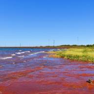 PREFEITURA DE SELVÍRIA AGUARDA LIBERAÇÃO DA CTG PARA CONSTRUÇÃO DE PRAIA NO RIO PARANA