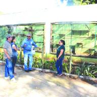 Alunos da Escola Antonieta Bim Storti visitam propriedades rurais do Município de Murutinga do Sul