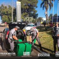 EM COROADOS POLÍCIA RODOVIÁRIA APREENDE GRANDE QUANTIDADE DE DROGAS DURANTE OPERAÇÃO PAZ E PROTEÇÃO