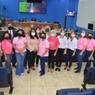 Outubro Rosa é lançada oficialmente durante 46ª sessão ordinária da Câmara de Três Lagoas
