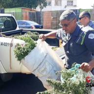 FAPIC 2017: Evento também terá parque de diversões e ampla praça de alimentação em Ilha Solteira