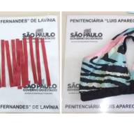 AGENTES DA PENITENCIÁRIA 2 DE LAVÍNIA APREENDEM DROGA SINTÉTICA COM VISITANTE