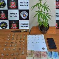 Força Tática de Araçatuba prendeu 02 traficantes com 40 porções de maconha, 22 pedras de crack, 01 pé de maconha e dinheiro no bairro Nossa Senhora Aparecida