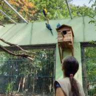 Estado aprova R$ 615 mil para Cidade da Criança e “ecozoológico” em Araçatuba