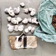 Força Tática prende moradora da Zona Norte de Ilha Solteira com quase meio quilo de maconha