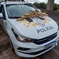 Em Castilho Polícia Rodoviária prende motorista com 12 tabletes de drogas