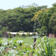 Em Três Lagoas com sono e cambaleando, idoso quase atropela garis ao dirigir embriagado