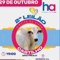 HOSPITAL DE AMOR: Castilho realiza 2º Leilão de Gado “Direito de Viver” no próximo domingo