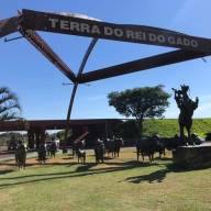 Homenagem à “cultura boiadeira” é eternizada no trevo de Andradina