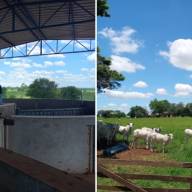 Secretário Estadual de Agricultura Guilherme Piai visitou Fazenda do Estado em Andradina