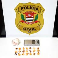 DISE de Andradina cumpre mandados de busca domiciliar e prende em flagrante traficante do Jardim Europa