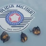 MORADOR DE ITAPURA PRESO POR TRÁFICO DE DROGAS