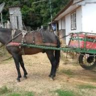 Secretaria de Segurança Pública de Birigui recebe dez motocicletas seminovas doadas pelo Detran-SP