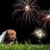 QUE USAR FOGOS DE ARTIFICIOS COM ESTAMPIDOS EM ANDRADINA NA VIRADA DO ANO, PODERA LEVAR MULTA DE R$ 1.412 REAIS