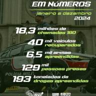 POLÍCIA MILITAR DE SP EM NÚMEROS