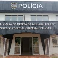 DDM de Pereira Barreto registrou 12 estupros de vulnerável em 2024