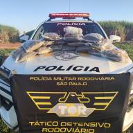 Polícia Rodoviária Estadual intercepta mais de 8 kg de Skunk em ônibus e prende passageiro em Bento de Abreu