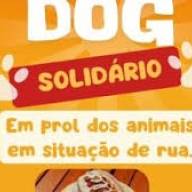 Protetora de animais realiza ação entre amigos para custear cirurgia de gatinho resgatado em Andradina