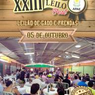 APAE de Andradina promove neste domingo o XXIII Leilo Fest – Leilão de Gado e Prendas