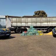 Polícia Rodoviária Federal de Três Lagoas apreende mais de 450 kg de drogas escondidas em carga de milho