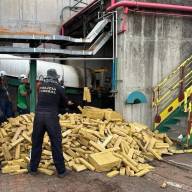 Polícia Federal de Três Lagoas incinera 8,2 toneladas de maconha