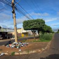 Três Lagoas abandonada: canteiros tomados pelo mato e lixo expõem descaso da Prefeitura