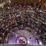 Andradina Circus chega à 3ª edição com atrações para toda a família