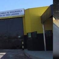 Presídio proíbe ração para gatos e protetoras se revoltam em Três Lagoas; 12 dias com fome
