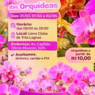 Lions Clube de Três Lagoas promove a 1ª Feira das Orquídeas