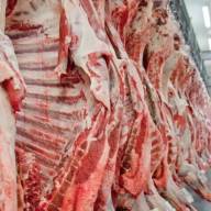 Andradina está nas TOP10 exportadoras de carne do Brasil