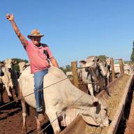 Um Novo Empreendimento Rural em Sud Mennucci:  Dim Martelo e Dr. Nelson de Assis firmam parceria de sucesso em confinamento de gado