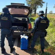 Polícia Rodoviária Estadual de Três Lagoas prende indivíduos com maconha, cocaína e 43 mil reais na MS 377 em Brasilândia