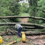 ÁRVORE CAÍDA É RETIRADA DA PONTE DO BELO MONTE APÓS CHUVAS DE DOMINGO EM ANDRADINA 